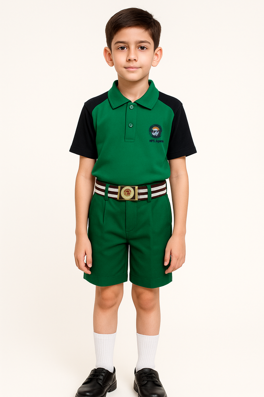 House T-shirt (Solid Color) - Color Green