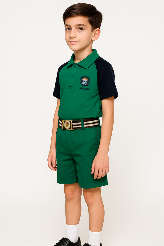 House T-shirt (Solid Color) - Color Green