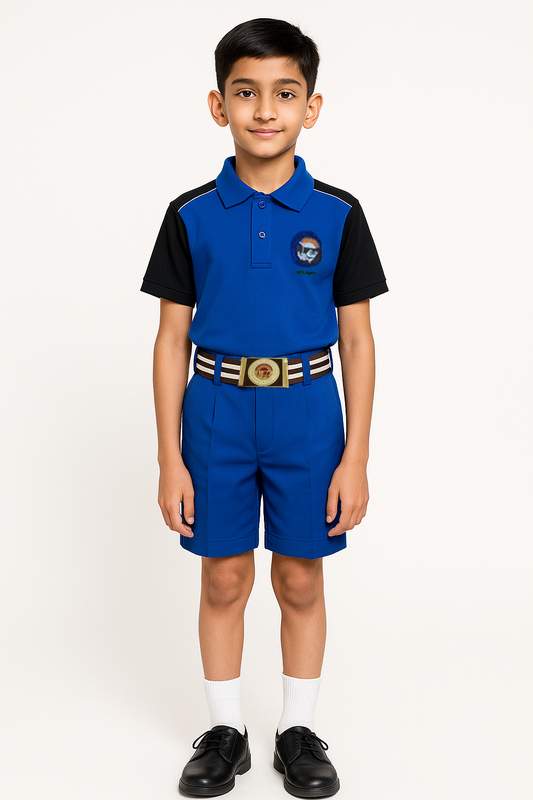 House T-shirt (Solid Color) - Color Blue