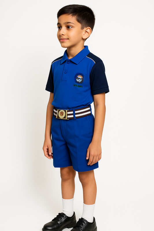 House T-shirt (Solid Color) - Color Blue